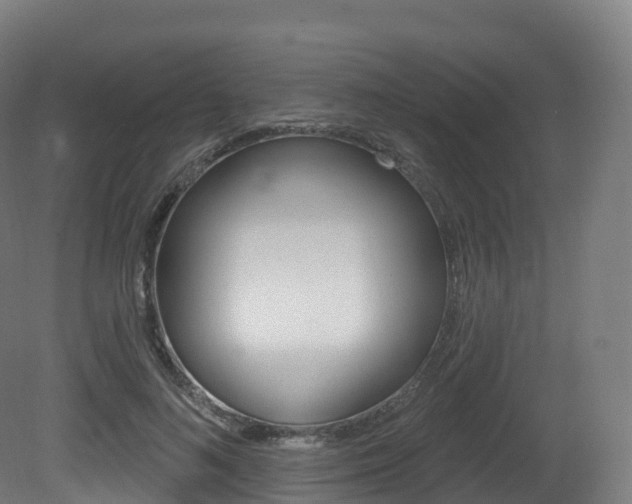 X0000081500692200701121139