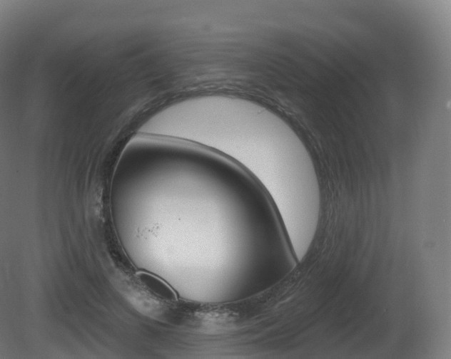 X0000081500693200701121139