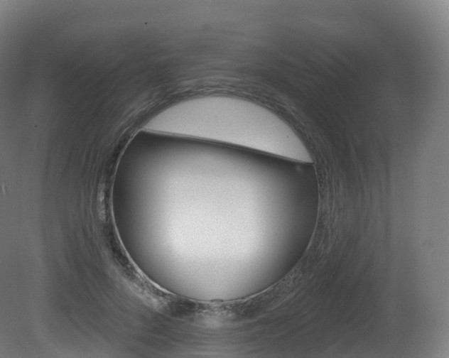 X0000081500696200701121139