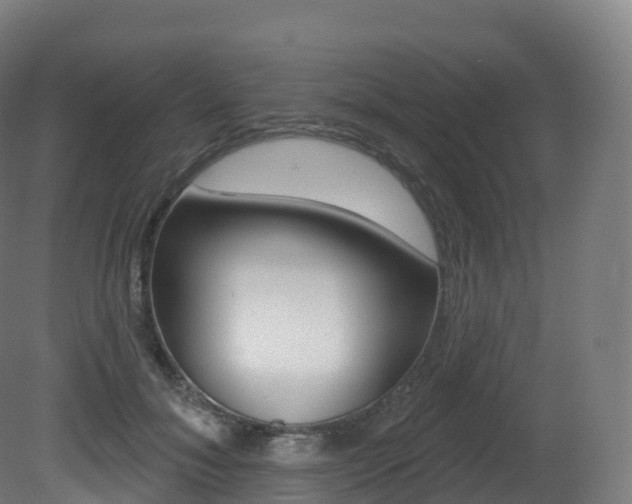 X0000081500700200701121139
