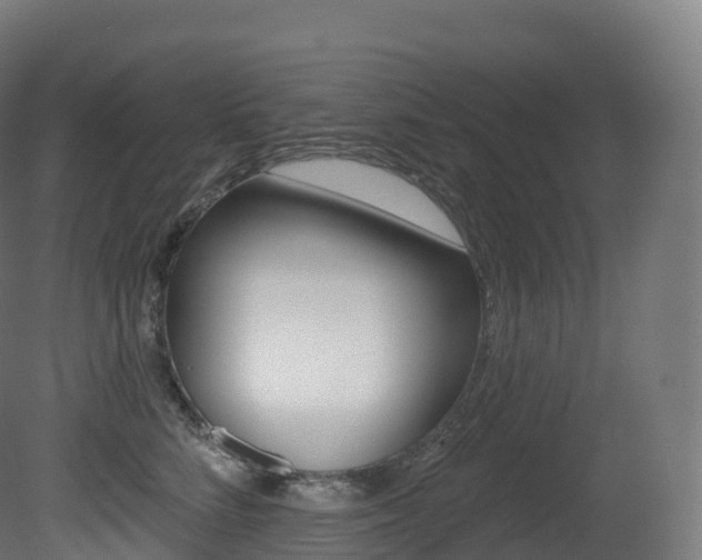X0000081500712200701121139