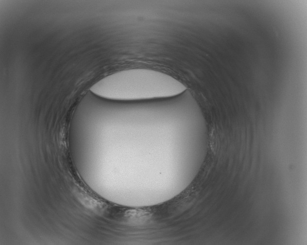 X0000081500714200701121139