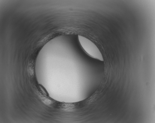 X0000081500719200701121139