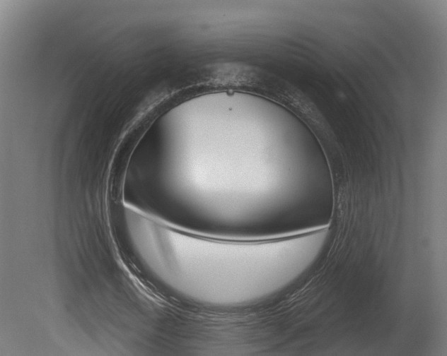 X0000081500722200701121138