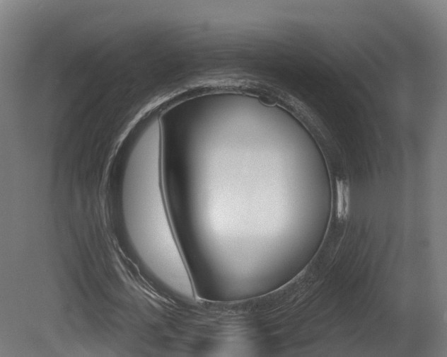 X0000081500723200701121138