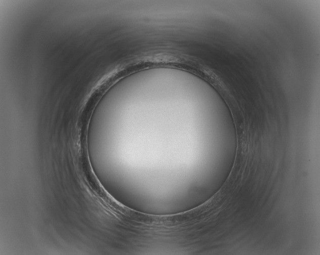 X0000081500727200701121138