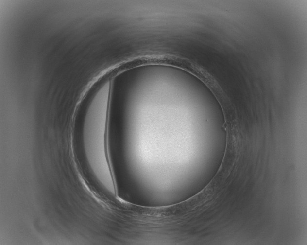 X0000081500728200701121138
