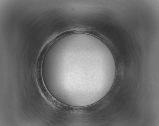 X0000081500730200701121138