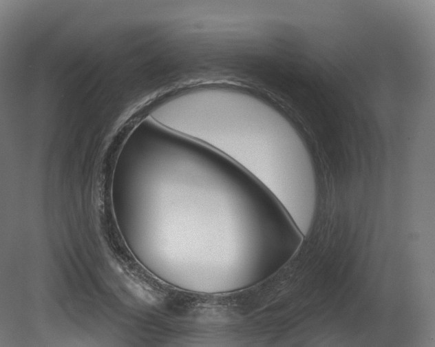 X0000081500732200701121138