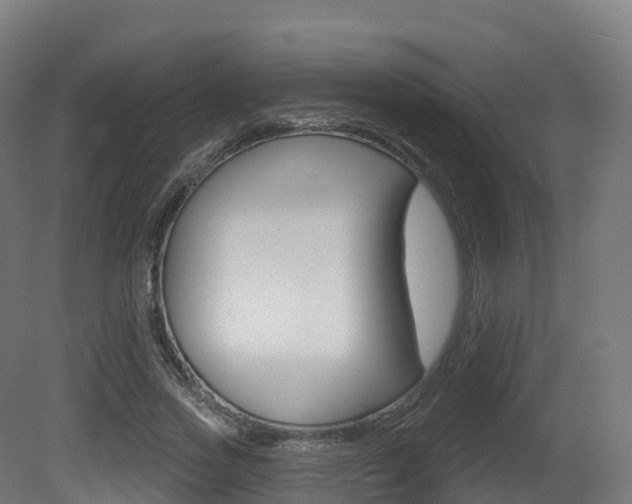 X0000081500733200701121138