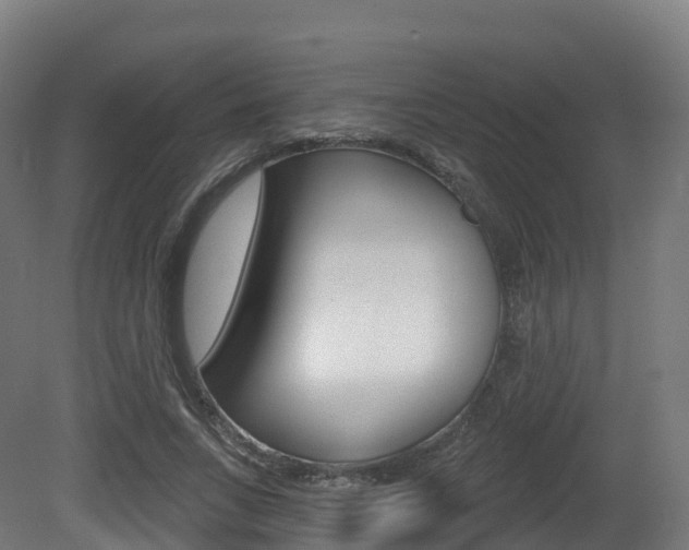 X0000081500735200701121138