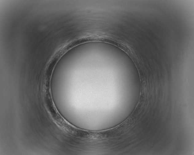 X0000081500736200701121138