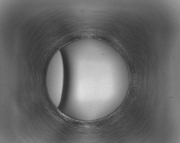 X0000081500737200701121138