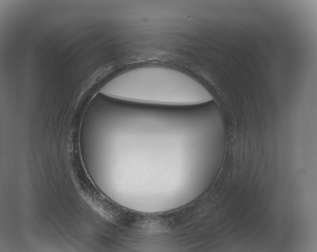 X0000081500738200701121138