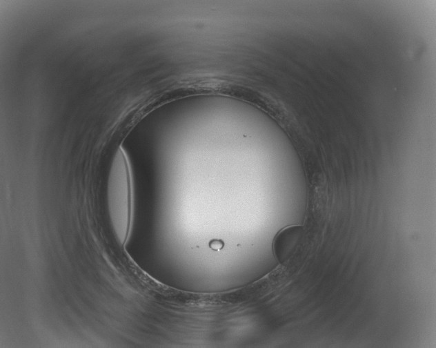 X0000081500739200701121138
