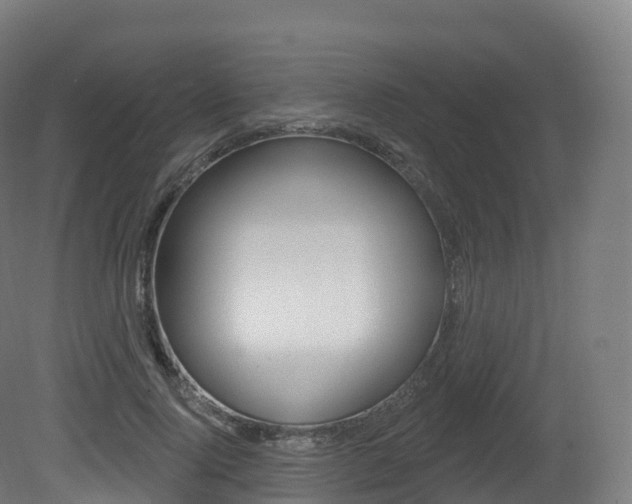 X0000081500740200701121138