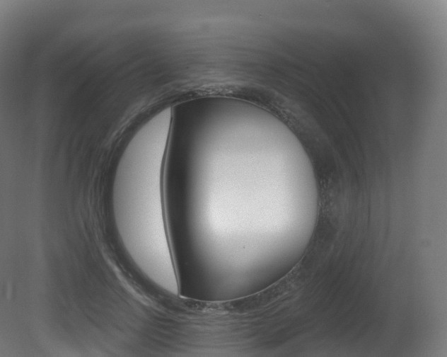 X0000081500742200701121138
