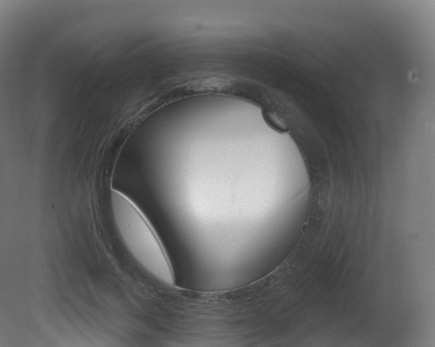 X0000081500743200701121138