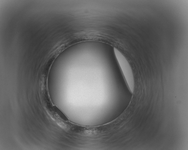 X0000081500744200701121138