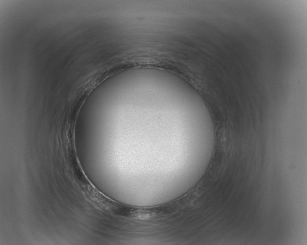 X0000081500746200701121138