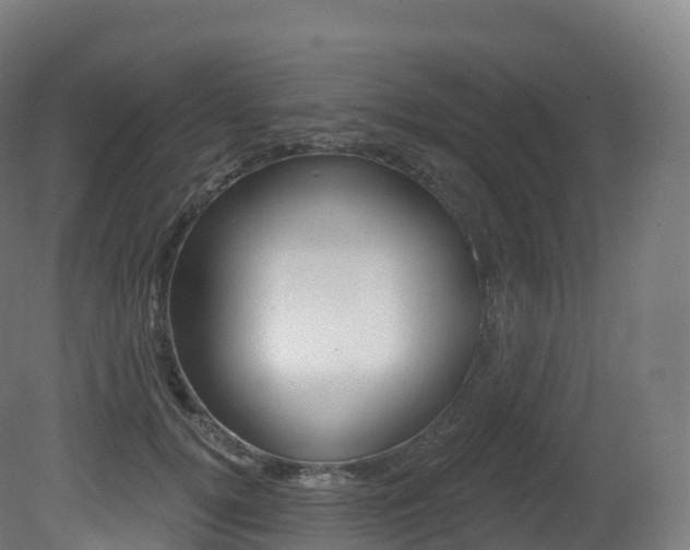 X0000081500752200701121138