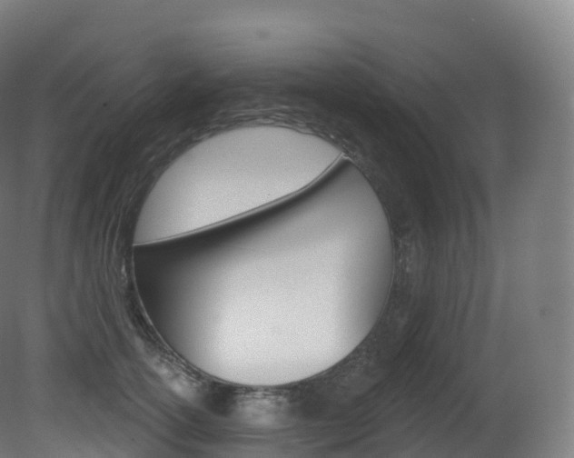 X0000081500754200701121138