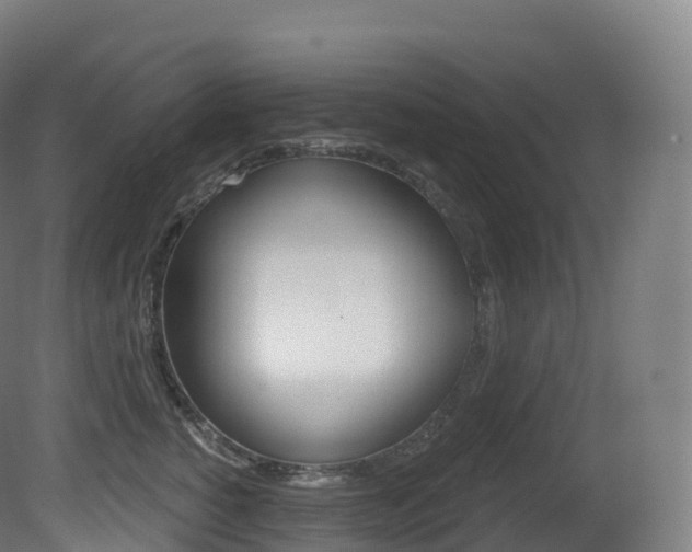 X0000081500760200701121138