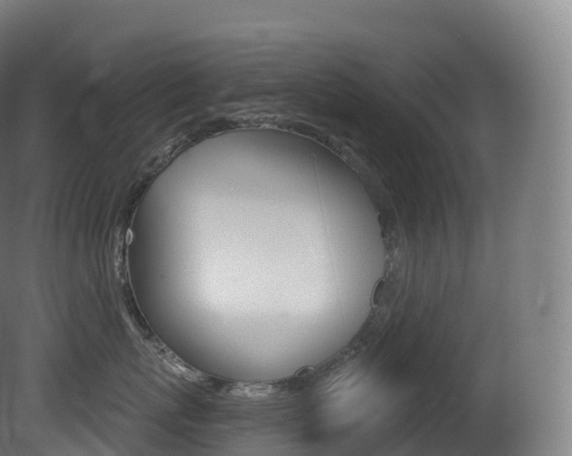 X0000081500767200701121138