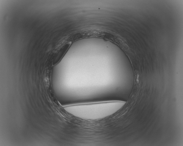 X0000081500771200701121138