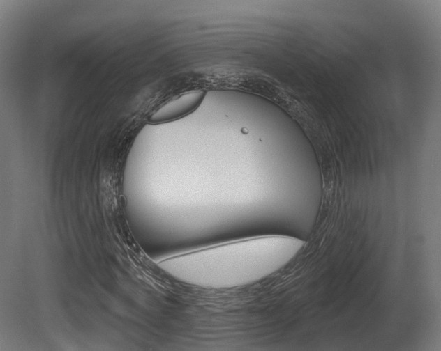 X0000081500772200701121138