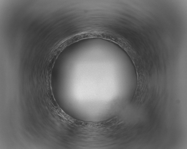 X0000081500773200701121138