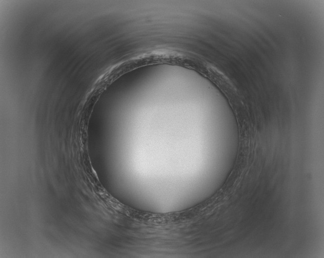 X0000081500776200701121138