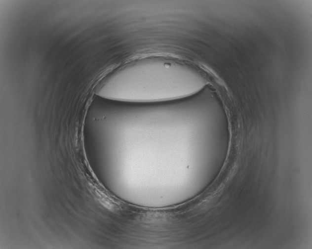 X0000081500777200701121138