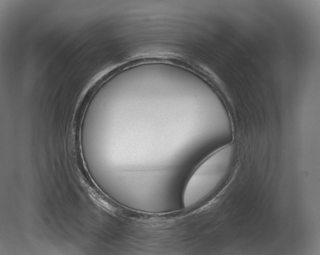 X0000081500779200701121137