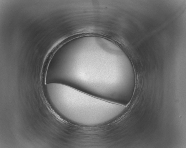 X0000081500780200701121137