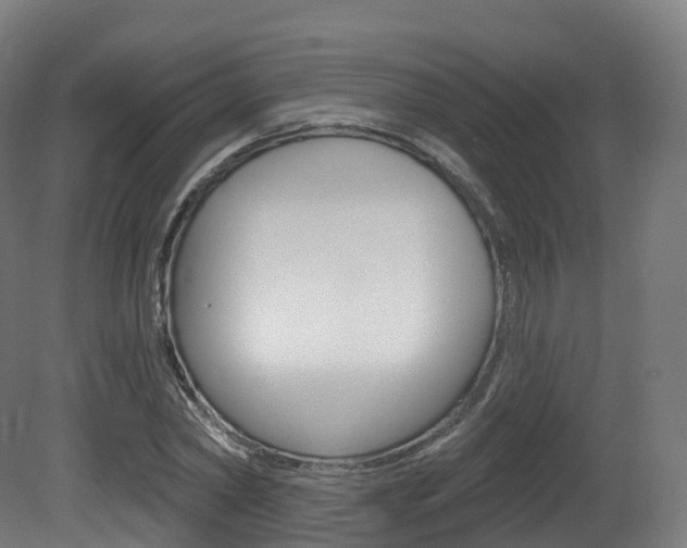 X0000081500782200701121137
