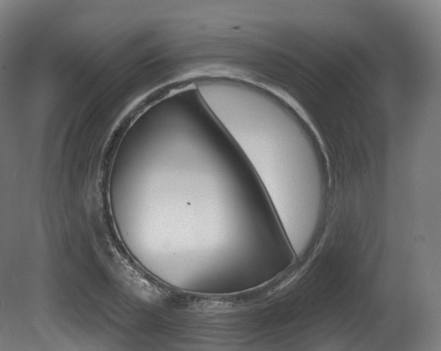 X0000081500783200701121137