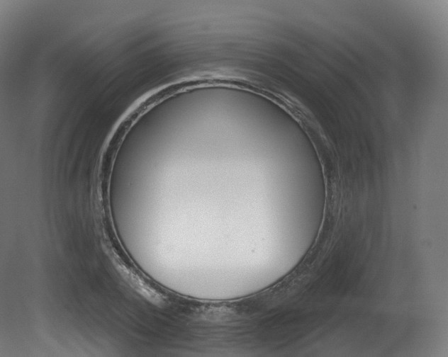 X0000081500784200701121137