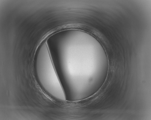 X0000081500786200701121137