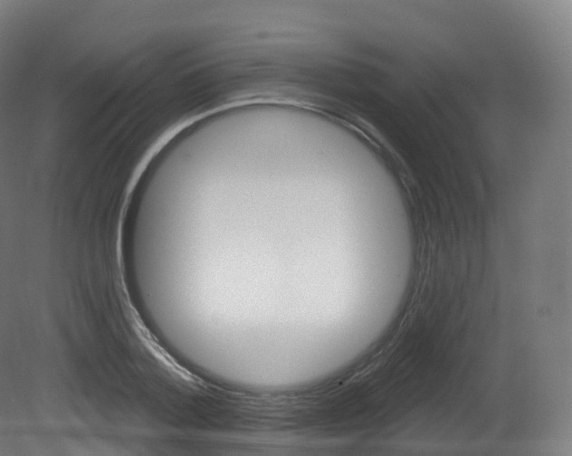 X0000081500788200701121137