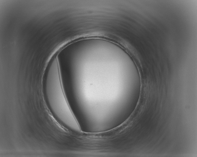 X0000081500789200701121137