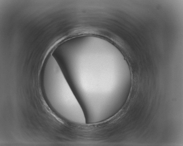 X0000081500790200701121137