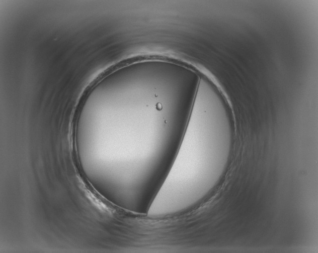 X0000081500791200701121137