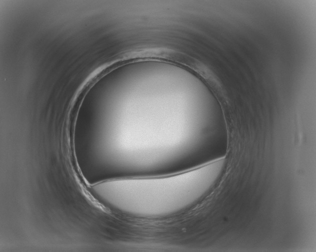 X0000081500792200701121137