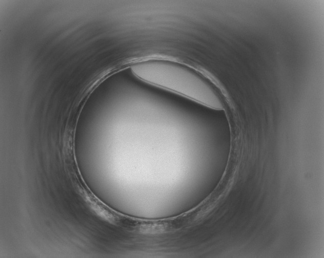 X0000081500793200701121137
