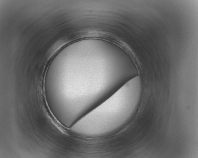 X0000081500794200701121137