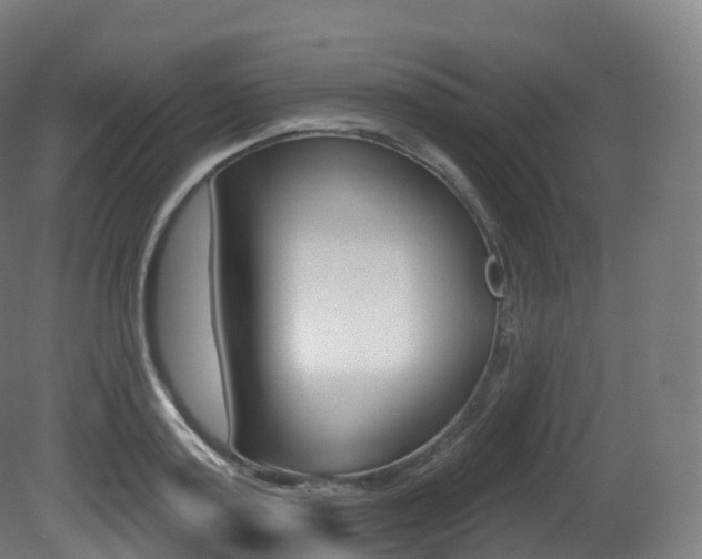 X0000081500795200701121137