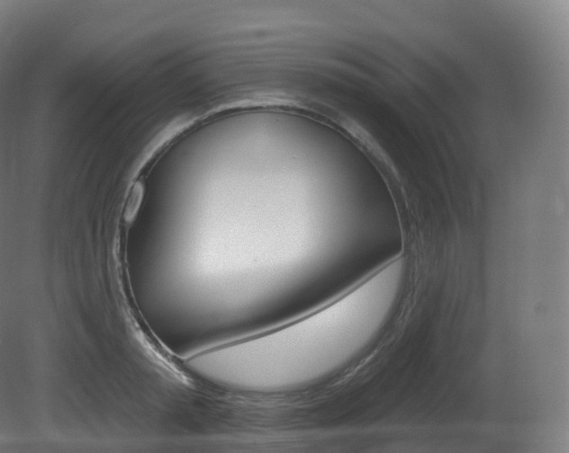 X0000081500797200701121137