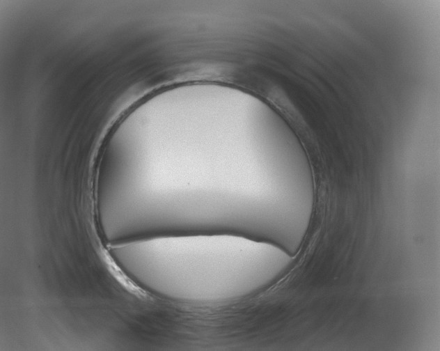 X0000081500800200701121137