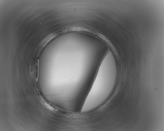 X0000081500801200701121137